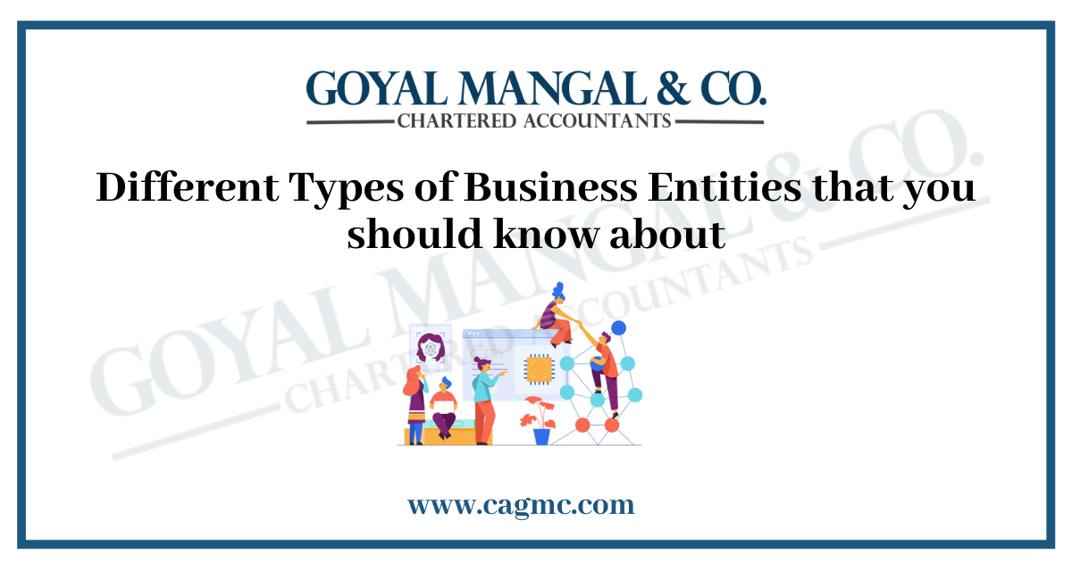 Different Types of Business Entities