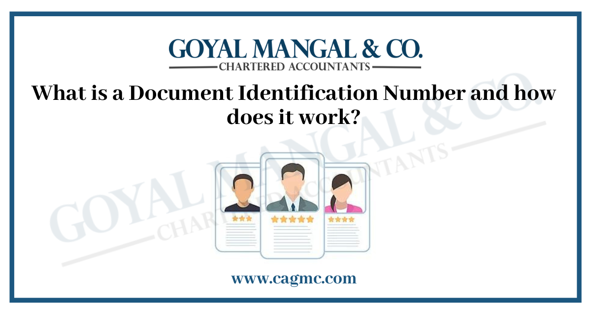 What is a Document Identification Number?