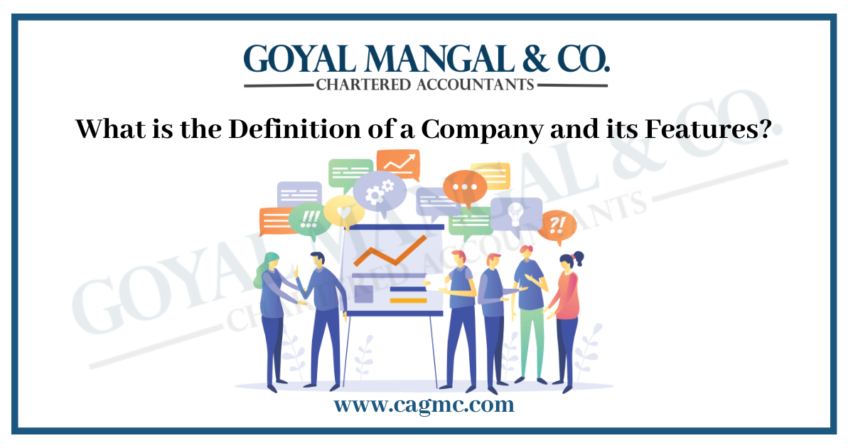 What is a Company & its Features