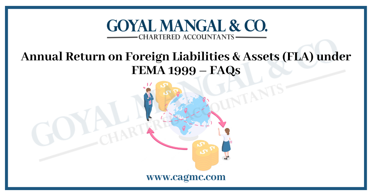 Annual Return on Foreign Liabilities & Assets (FLA)