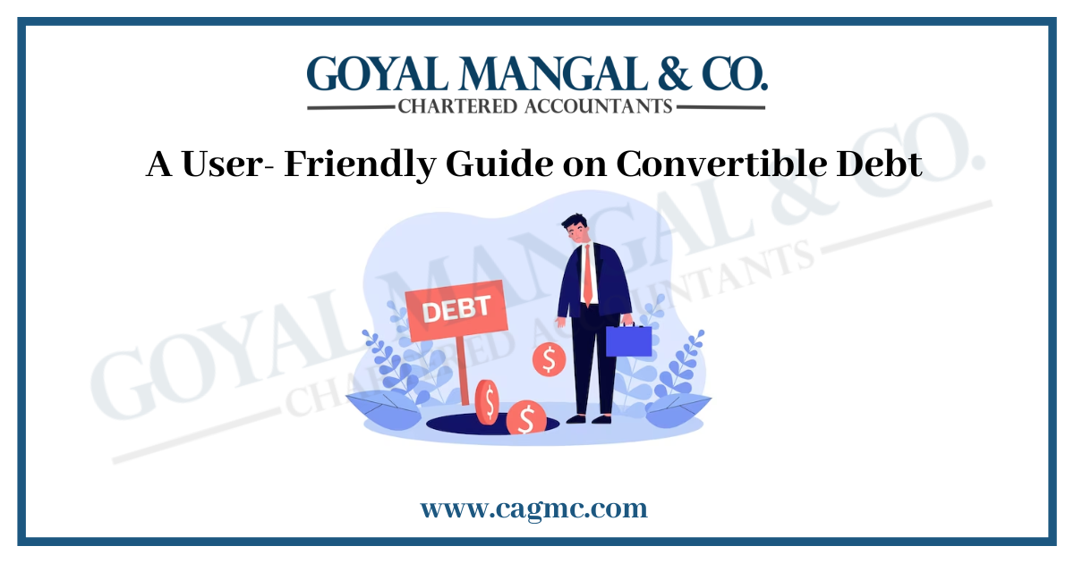 A User- Friendly Guide on Convertible Debt