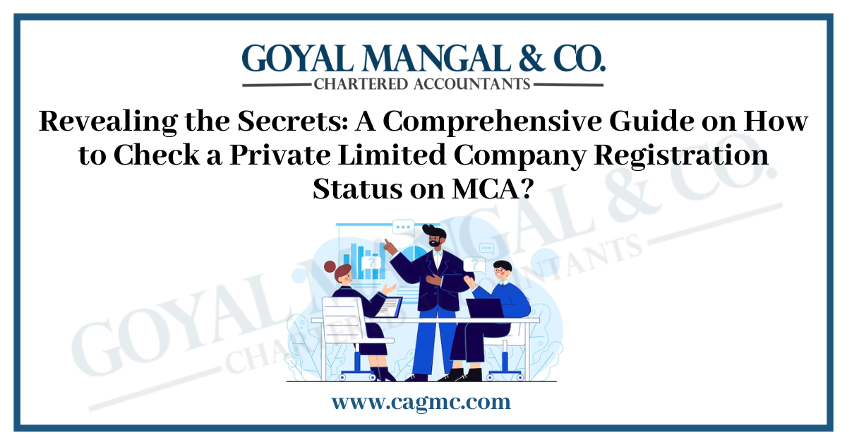 Private Limited Company Registration Status on MCA