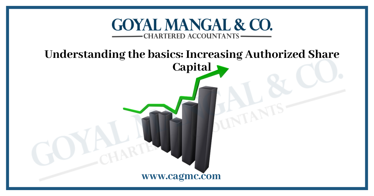 Increase Authorized Share Capital