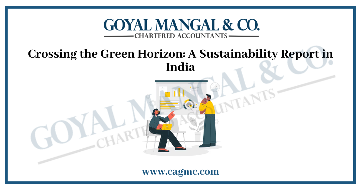 Sustainability Report in India